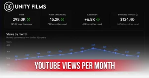 YouTube Views Per Month analytics dashboard showing monthly views, watch time, subscribers, estimated revenue, and 12-month performance graph.